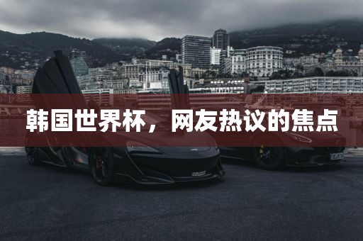 韩国世界杯，网友热议的焦点