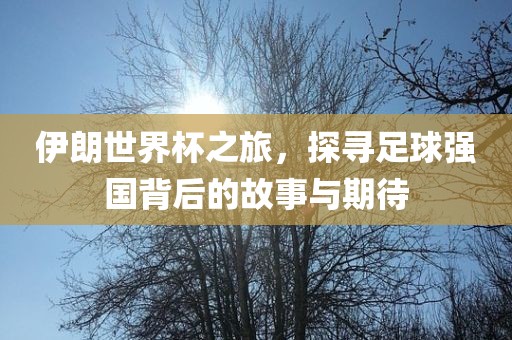 伊朗世界杯之旅，探寻足球强国背后的故事与期待