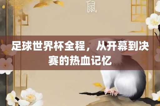 足球世界杯全程，从开幕到决赛的热血记忆