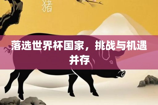 落选世界杯国家，挑战与机遇并存