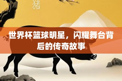 世界杯篮球明星，闪耀舞台背后的传奇故事