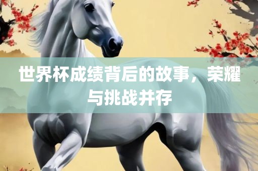 世界杯成绩背后的故事，荣耀与挑战并存广西贺州市华昌新材料有限公司