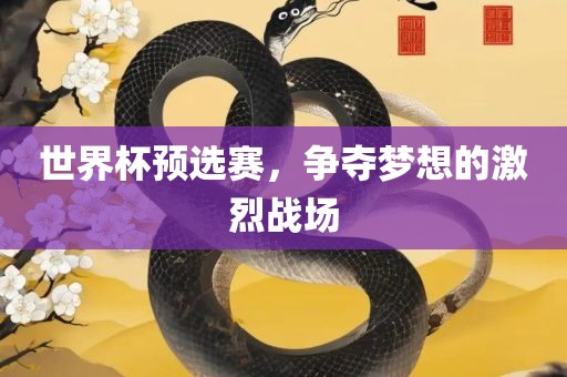 世界杯预选赛，争夺梦想的激烈战场