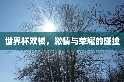 世界杯双板，激情与荣耀的碰撞