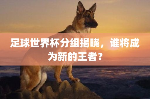足球世界杯分组揭晓，谁广西贺州市华昌新材料有限公司将成为新的王者？