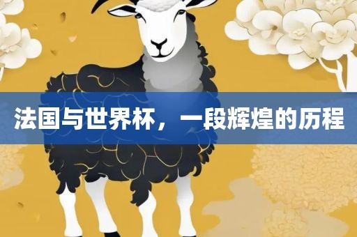 法国与世界杯，一段辉煌的历程