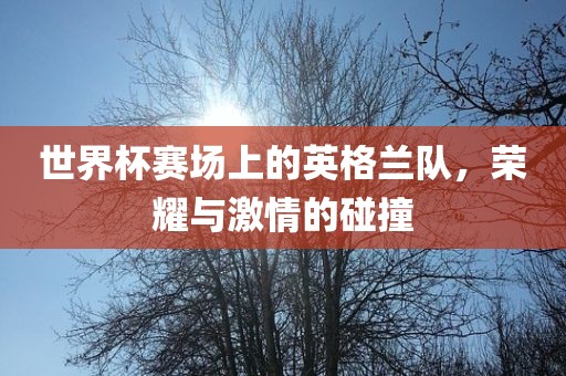 世界杯赛场上的英格兰队，荣耀与激情的碰撞