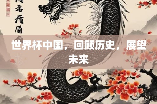 世界杯中国，回顾历史，展望未来