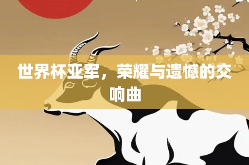 世界杯亚军，荣耀与遗憾的交响曲