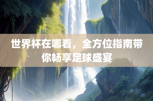 世界杯在哪看，全方位指南带你畅享足球盛宴